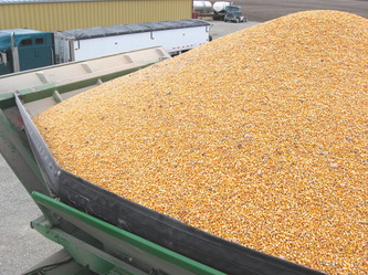 PHT 50 bu kit